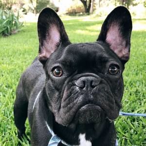 Meet your Posher, Terry